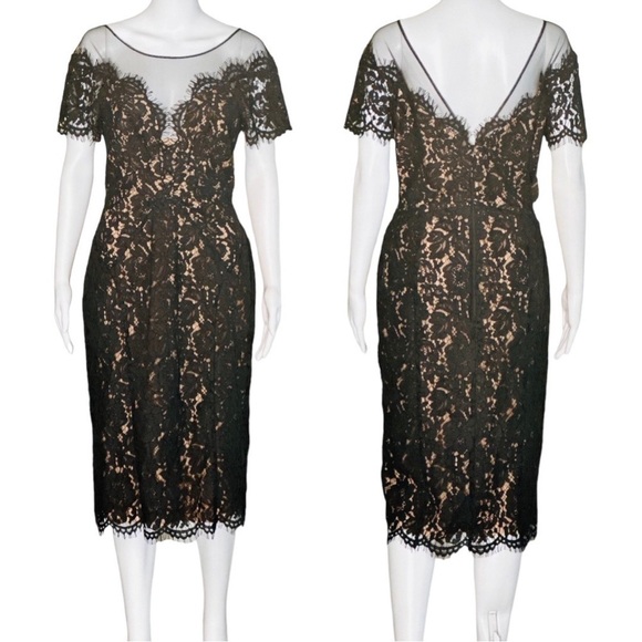 RENE RUIZ Scalloped Lace Short Sleeve Illusion Cocktail Evening Midi Dress NEW - Picture 4 of 6